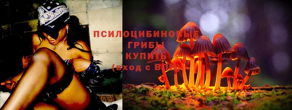 apvp Аркадак