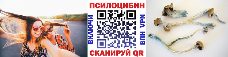 что такое наркотик Орёл Псилоцибиновые грибы прущие грибы