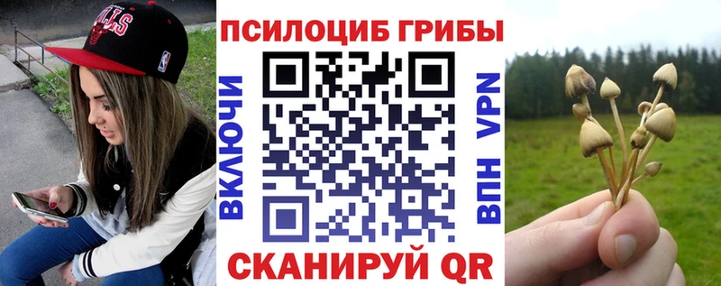 Псилоцибиновые грибы ЛСД Орёл