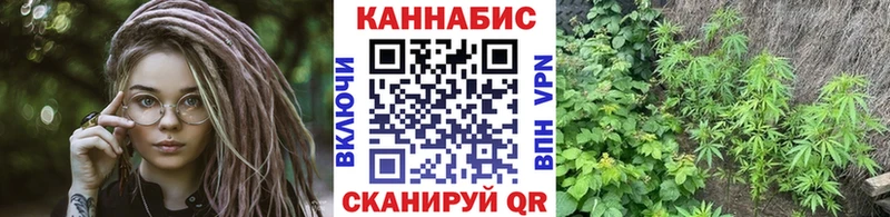 Канабис семена  Орёл 
